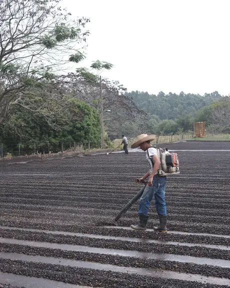 Fazenda Água da Mata