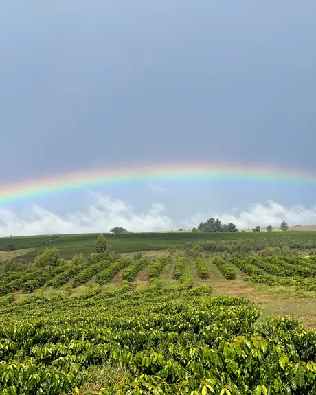 Fazenda Água da Mata