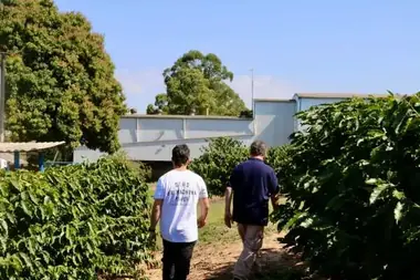 Fazenda Água da Mata