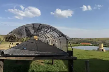 Fazenda Água da Mata