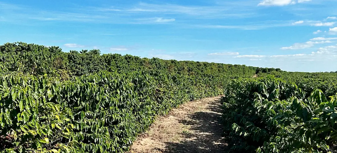 Fazenda Água da Mata