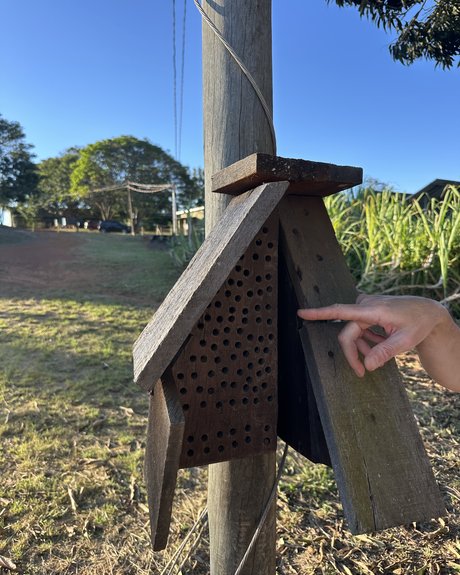 Fazenda Três Meninas