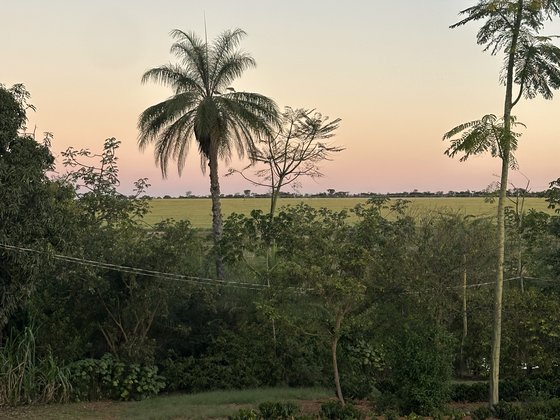 Fazenda Três Meninas