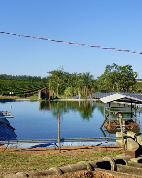 Fazenda Três Meninas